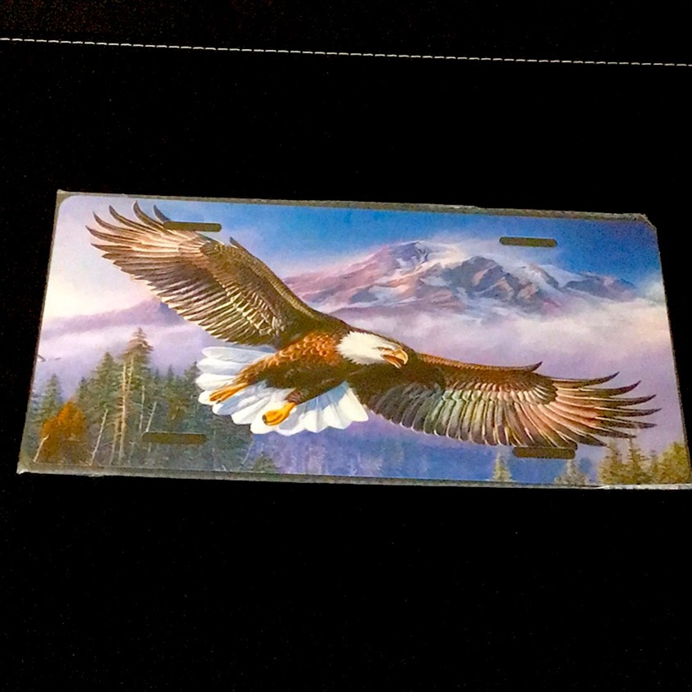 Decorative License Plate New 12x6